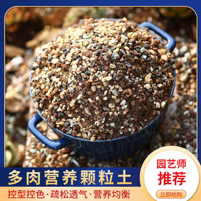 Succulent Particle Soil Succulent Soil Specialized Nutritio