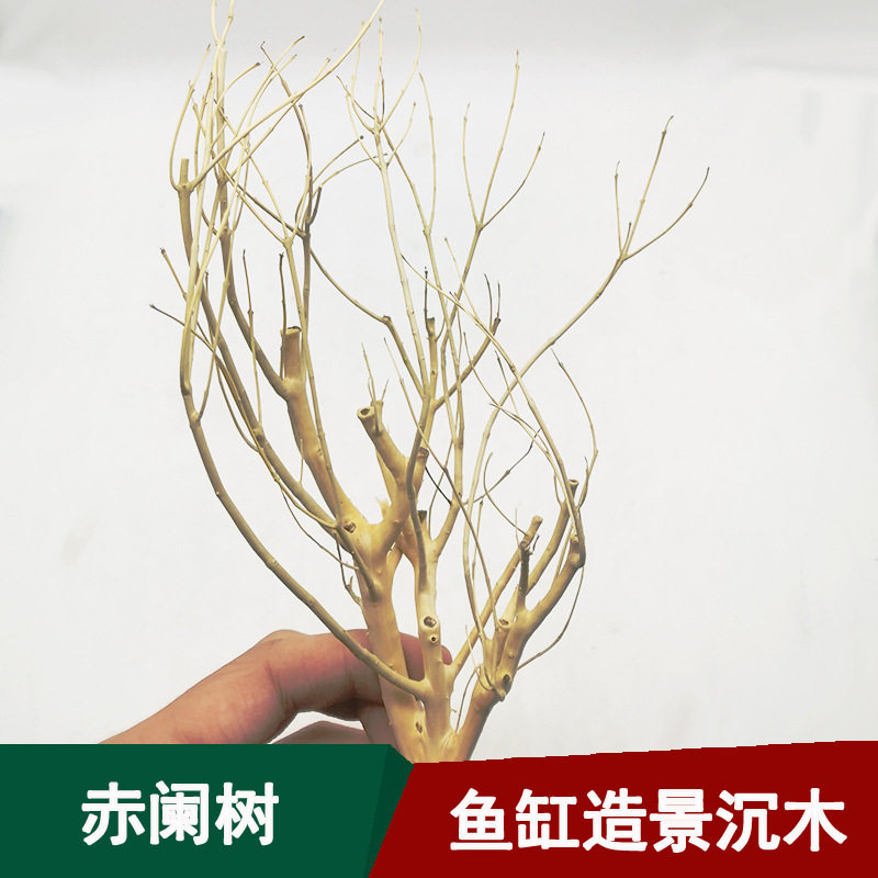 水族鱼缸造景专用沉木 水草沉木造景骨架 多枝树枝雨林景观造景