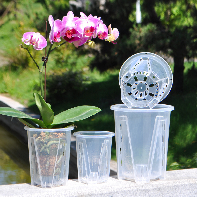 Transparent root control pot, water moss butterfly special