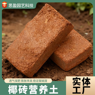 soil nutritious universal coconut plan Coconut coir block