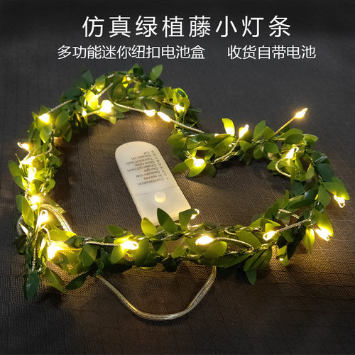 亚马逊新品 LED藤条灯装饰小彩灯铜线鞭炮灯串纽扣电池灯