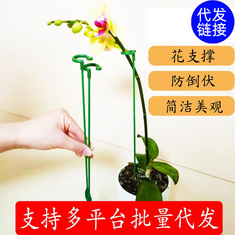 多肉蝴蝶植物花架支架植物盆栽花卉造型支撑杆固定防倒伏护叶架