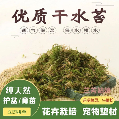 Moss, Water Moss, Dry Moss, Flower Soil, Butterfly Dendrobi