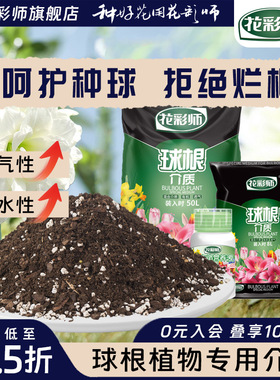 Bulb plant, soil hyacinth seed ball, soil, tulip, vermilion