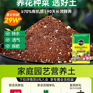 Nutritious Universal Soil Cultivation Househ Flower Meileke