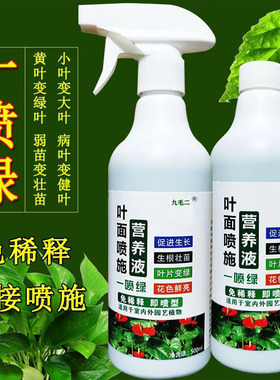 Yellow leaves sprayed with green floral nutrient solution t