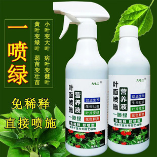 with green floral Yellow solution sprayed nutrient leaves