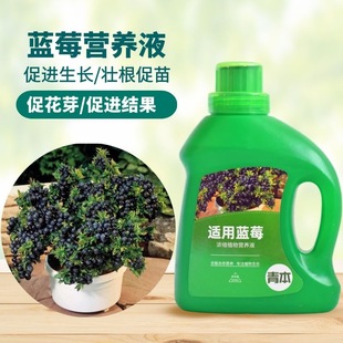 Send blueberry specific fertilizer, organic fertilizer, nut