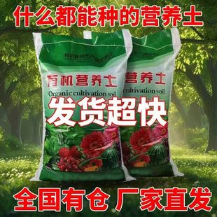 specific Flower Succulent Soil Nutritious Universal Tujia