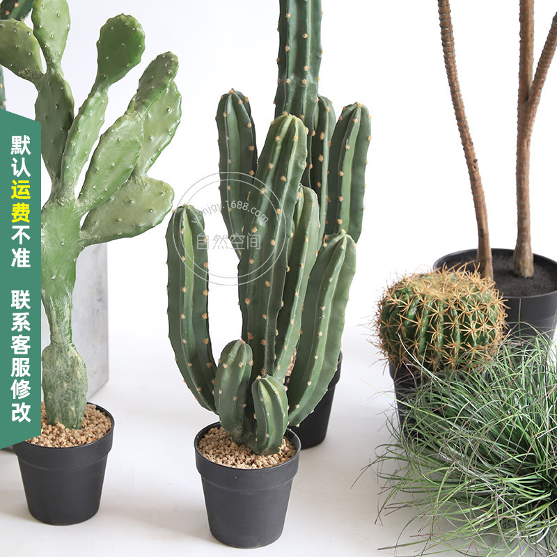 工具仿真仙人掌沙生风格植物造景搭配龙神柱门店堆景店铺装饰落地