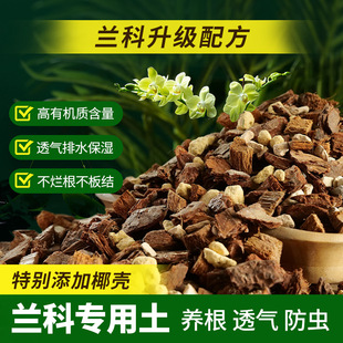nutrient planting soil family shell Flower coconut specific