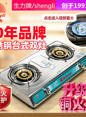 生力不锈钢熄火保护直火铜芯双灶