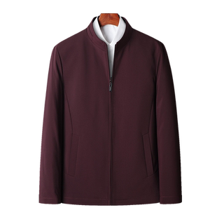 爸爸短款羽绒服男2024冬装立领活里活面中老年人男装冬季加厚外套