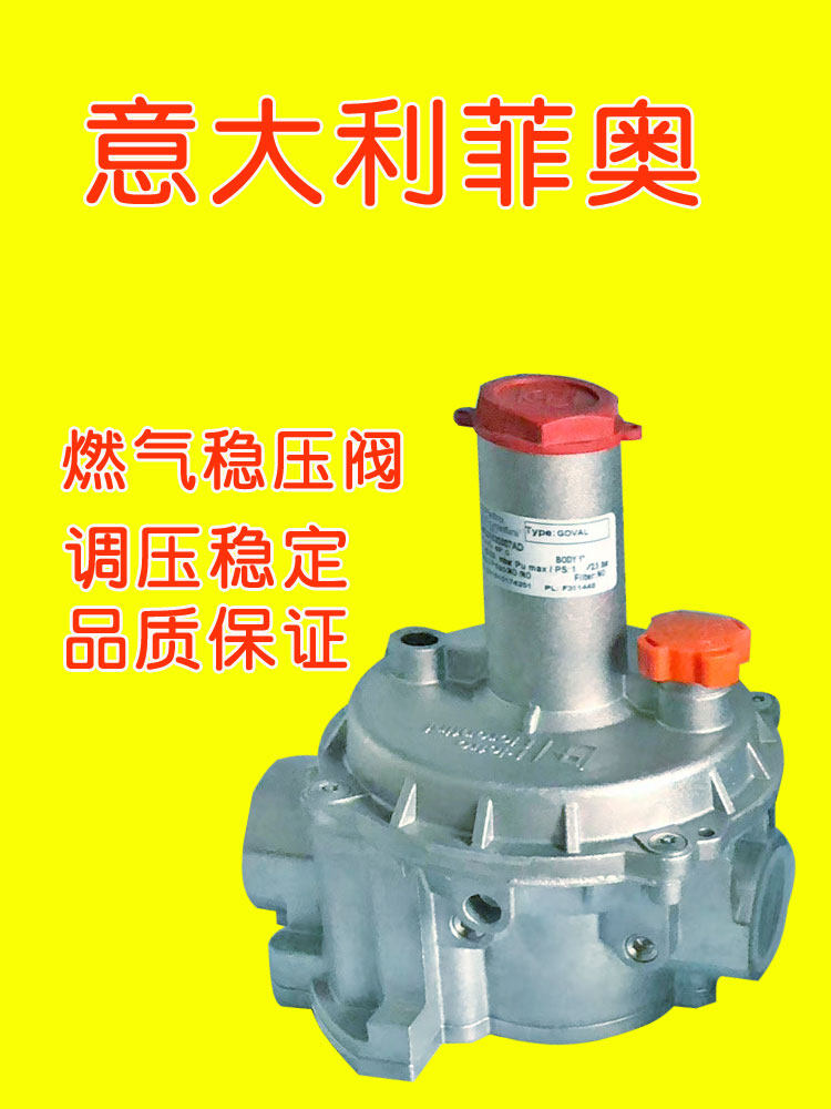 意大利菲奥天然气稳压器燃气调压器天然气调压阀工业大流量减压阀