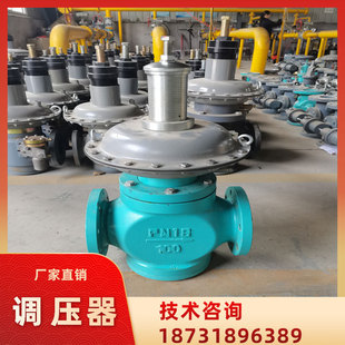 大型燃?xì)飧G爐減壓閥 鍋爐燃燒器穩(wěn)壓閥 0.4A型天然氣調(diào)壓器 RTZ50