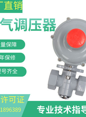 天然气减压阀燃气调压器气气化器二级 大流量稳压器RTZ-20H调压阀