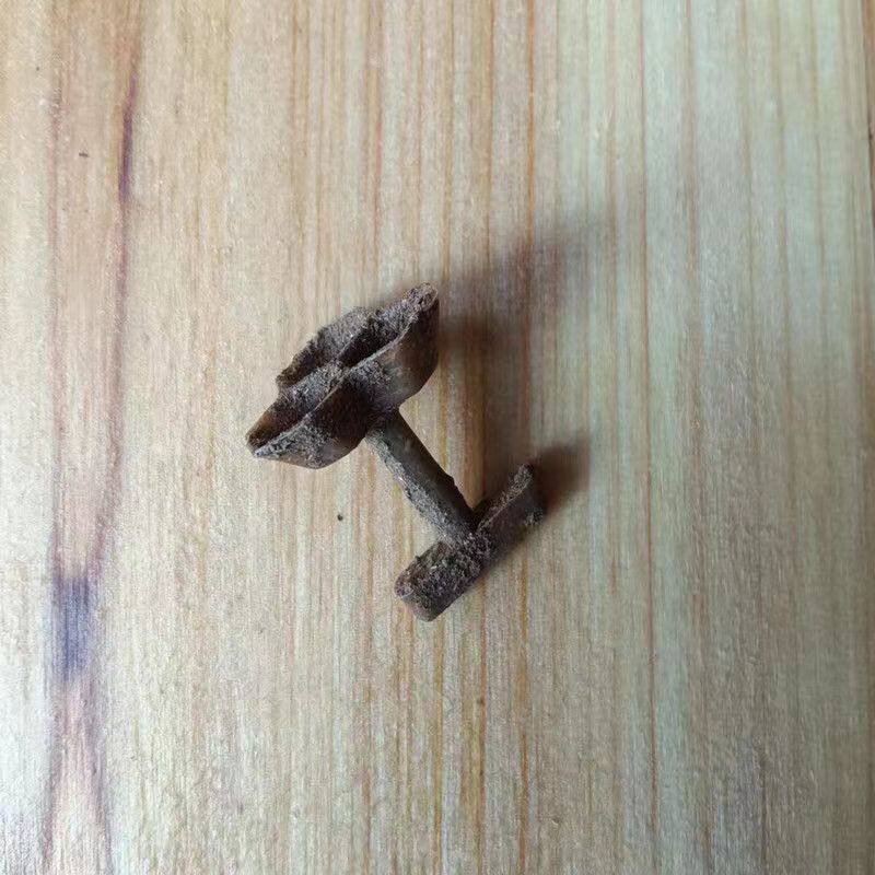 胡蜂3d蜂巢蜂窝红娘蜂巢黄脚黑盾葫芦马蜂巢活动区喂食笼胡蜂巢