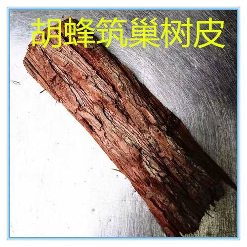 胡蜂筑巢材料树皮黄脚红娘黑盾