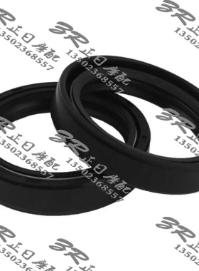 XR650  99 00 01 02 03 04 05 06 大魔神1400前减震油封/对 46X58