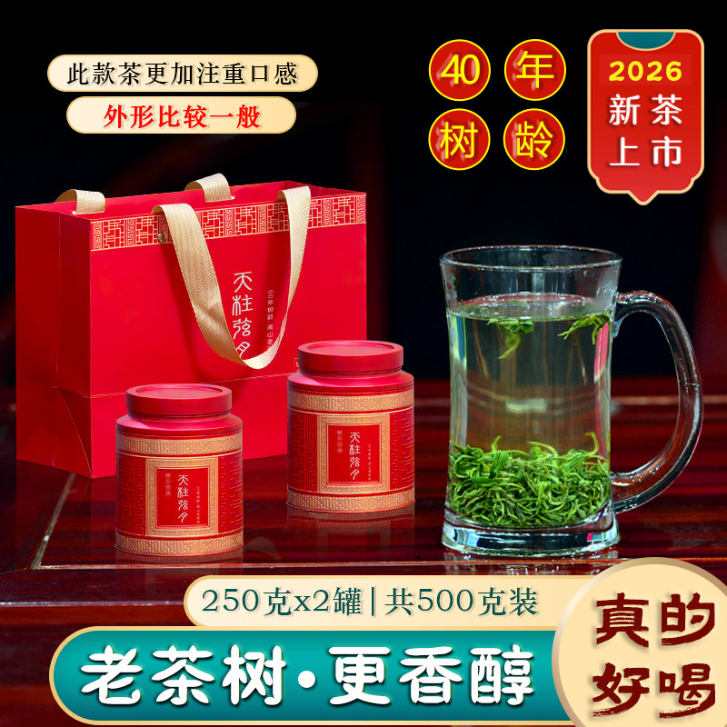 群体种老茶树潜山天柱弦月天柱山茶叶野生茶500g高山云雾绿茶套装