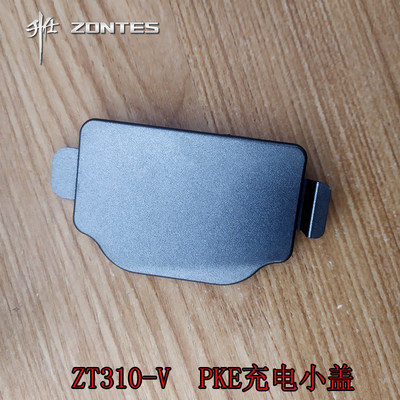 zt310-v太子款pke充电口摩托车