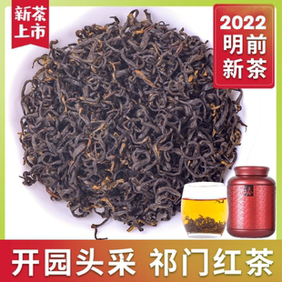 祁红香螺祁山高山功夫红茶2023新茶特级正宗浓香型安徽祁门红茶叶