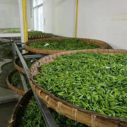 [2026雨前新茶]涌溪火青高山云雾绿茶泾县兰花香型250g耐泡安徽