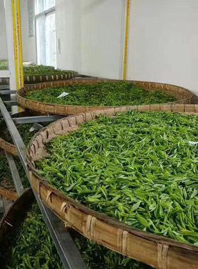 [2026雨前新茶]涌溪火青高山云雾绿茶泾县兰花香型250g耐泡安徽