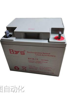 BYS柏亚斯蓄电池BY100-12 绿色环保储能型 IDC数据中心UPS后备电