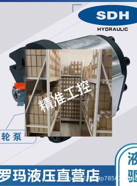 SDH齿轮泵液压油泵CBT/F-E425AFJ CBT/F-E432AFJ CBT/F-E4440AFJ