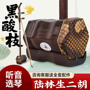 陆林生二胡三星黑酸枝二胡无锡林生二胡黑酸枝木专业演奏二胡琴