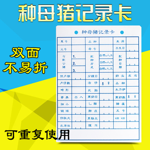 母猪记录卡双面分娩档案管理卡种猪 畜牧养殖器械妊娠母猪历产卡
