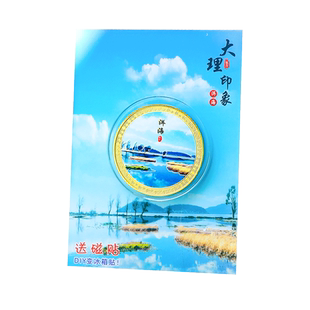 苏州印象纪念币DIY城市风景冰箱贴景区旅游博物馆周边硬币礼物拙政园虎丘山金鸡湖寒山寺周庄故宫文创小礼品