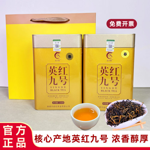 龙头影英红九号一级红茶春茶罐装