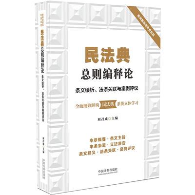 正版 2020民法典总则编释论 条文缕析 法条关联与案例评议 刘召成 中国法制出版社 9787521610727