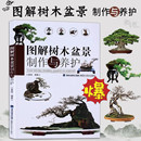 2026图解树木盆景制作与养护 盆景书籍养花图书大全树木盆景造型设计书栽培技术入门教程中小型花卉盆景制作教材技艺图解家庭园艺