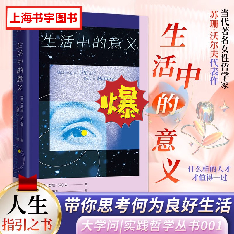 生活中的意义实践哲学丛书