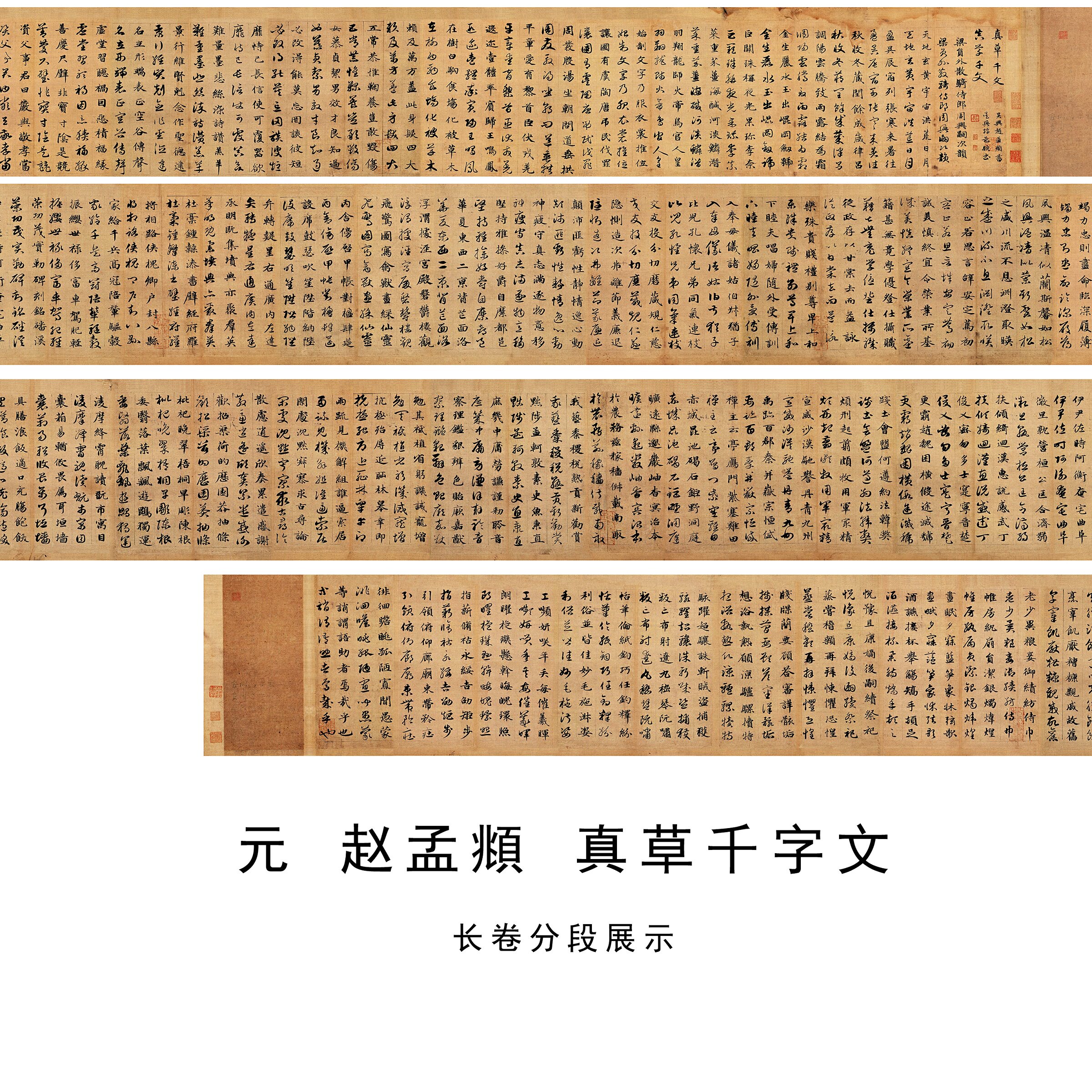 赵孟頫真草千字文书法名家