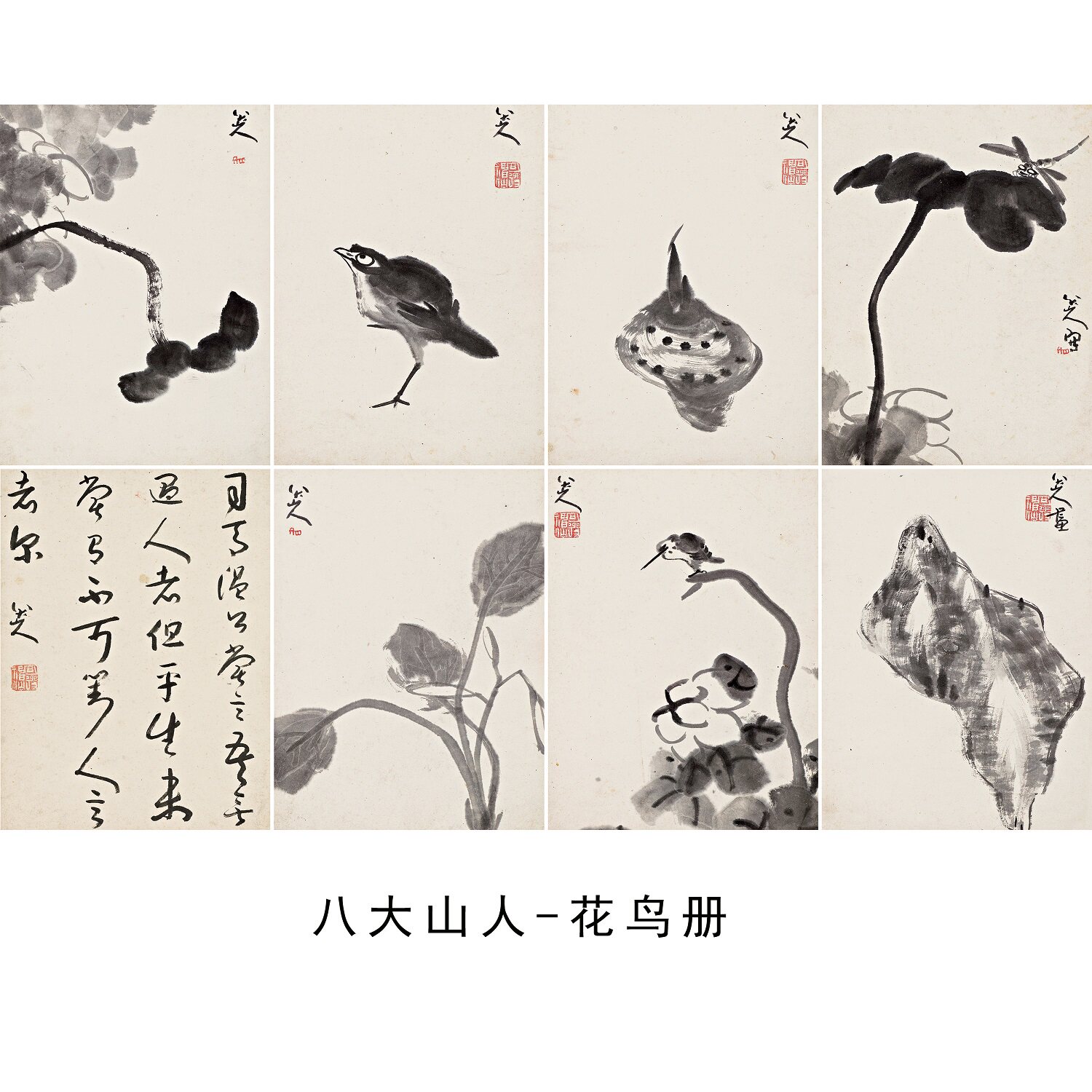 11八大山人花鸟画册真迹画稿