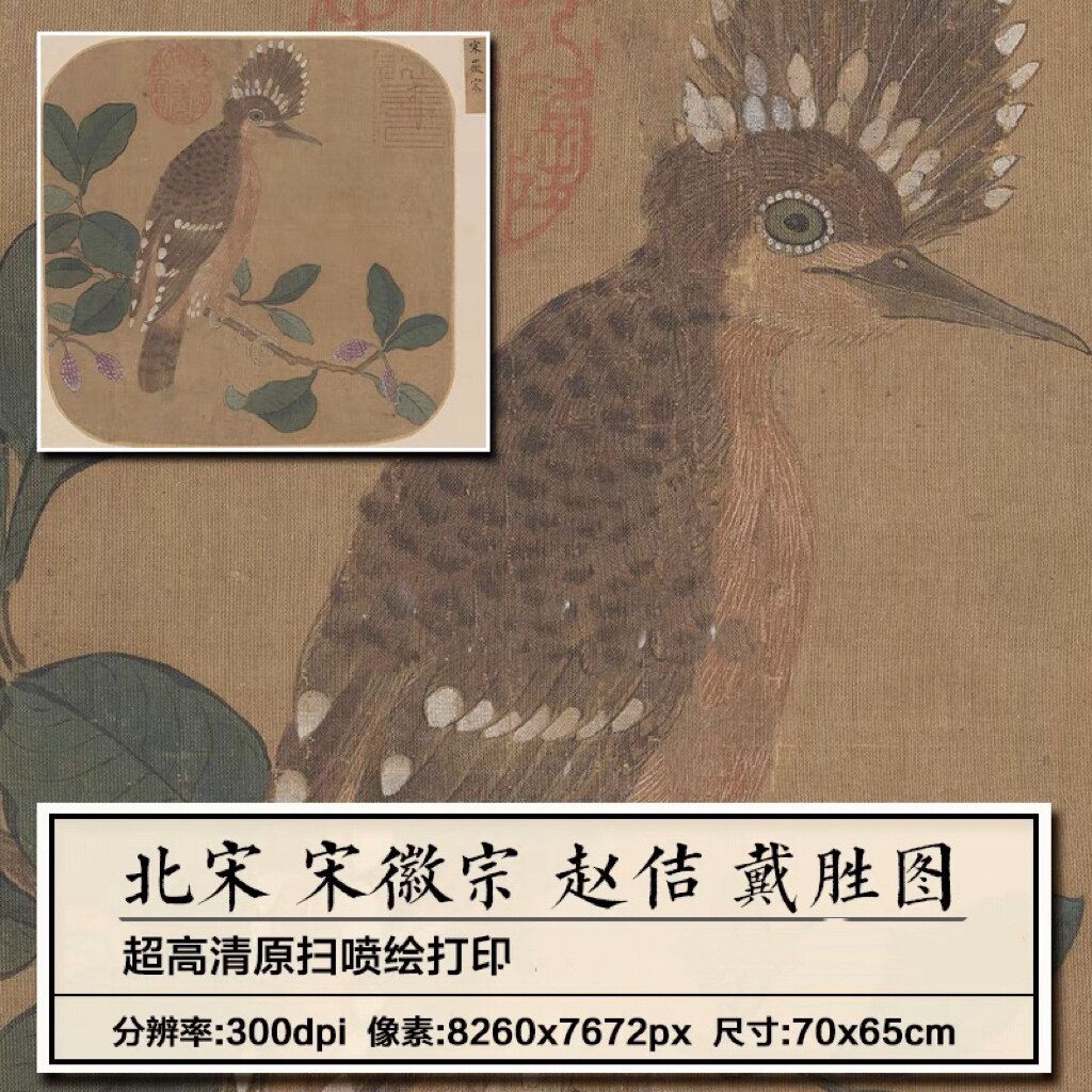 赵佶戴胜图图页宋朝宋徽宗古代工笔花鸟绘画打印临摹高清画稿