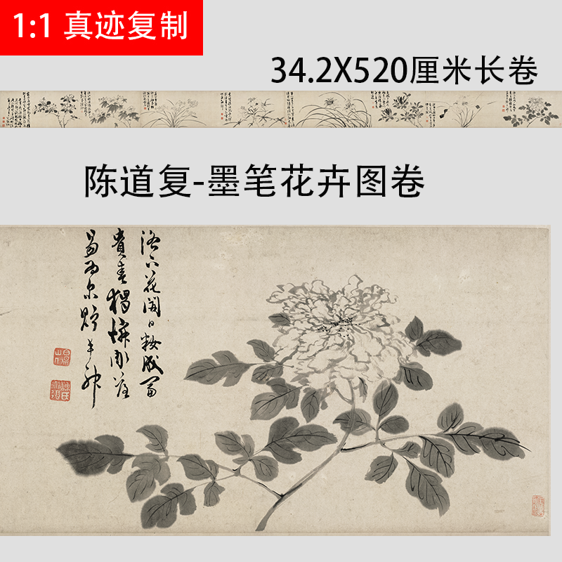 陈道复-墨笔花卉图卷 宣纸临摹学习画稿名画复制品水墨牡丹玉兰
