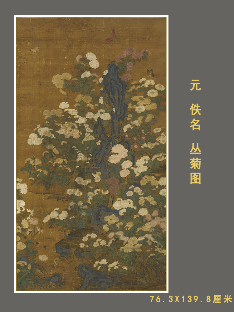 元朝佚名丛菊图菊花国画