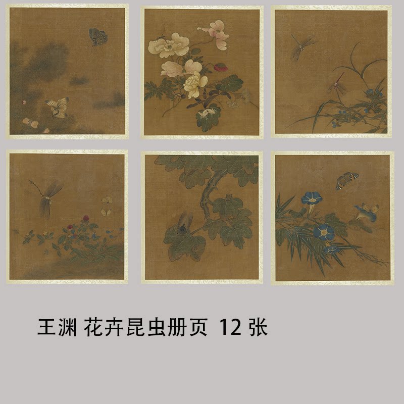 元 王渊 花卉昆虫册页12张 古代名家工笔国画册页高清微喷复制画