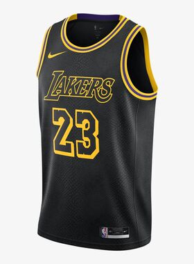 Nike/勒布朗詹姆斯湖人队 NBA 球衣黑色男生篮球衣送男友训练队服