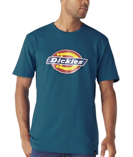 Dickies/迪凯斯男式短袖T恤纯棉贴花春夏新品圆领大彩LOGO夏JX