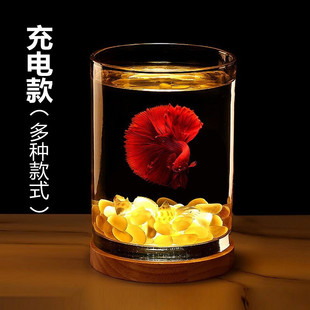 超白加厚孔雀玻璃鱼缸桌面圆形小型创意雪山斗金鱼缸夜灯迷你摆件