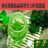 绞股蓝非中药材七叶绞股蓝茶龙须茶叶非平利五叶散装