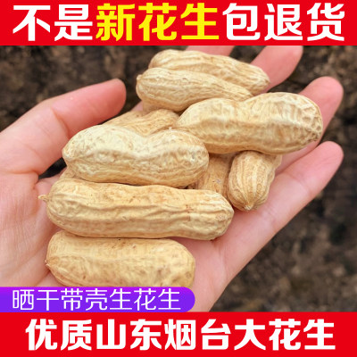 新鲜生花生农家自种颗粒饱满精选