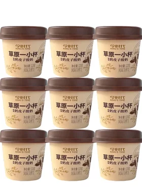 今时代奶皮子酸奶蒙古炭烧风味发酵乳120克*9杯凝固型老酸奶