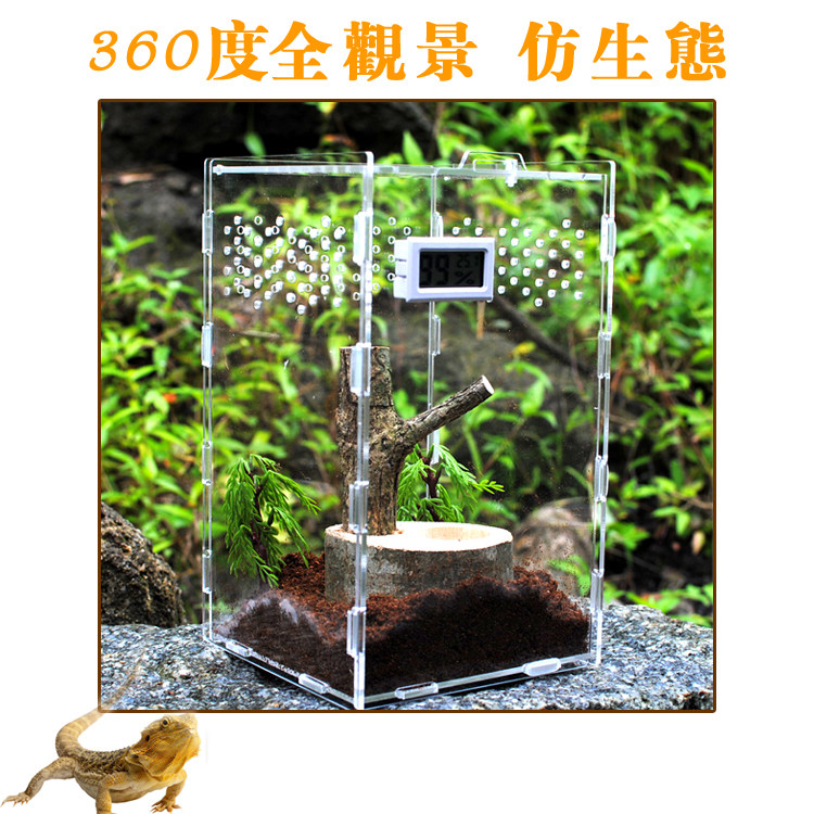 甲虫饲养箱昆虫独角仙套餐锹形虫蜘蛛雨林蝎高清亚克力树栖饲养箱